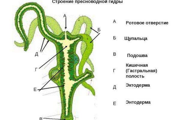 Блекспрут 2fa blacksprut cam blacksprut2web in